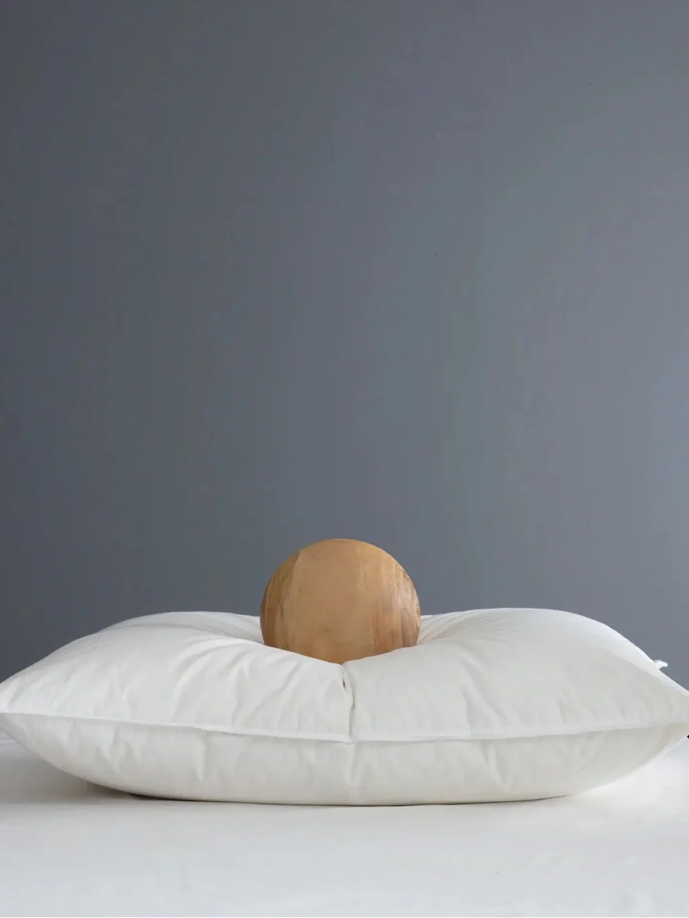 NWT Quince Premium Duck Down Pillow Standard Firm